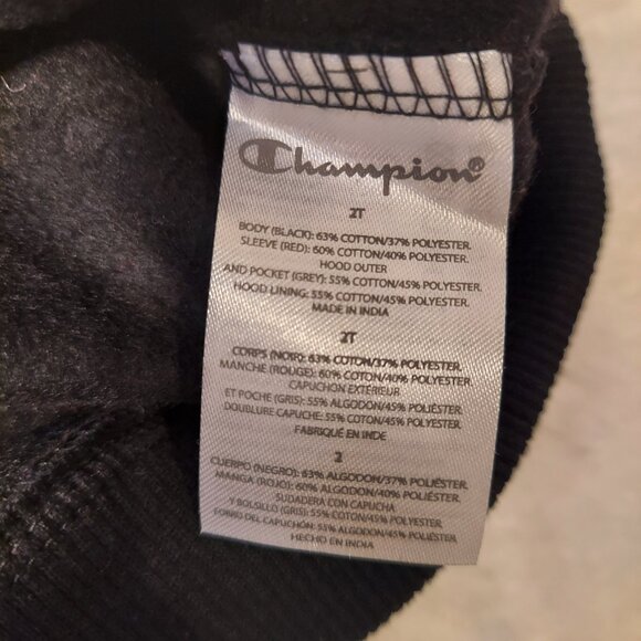 NWT Champion Toddler Boys 2-Piece Hoodie & Jogger Set Size 2T — Red, Black, Gray - Picture 8 of 8